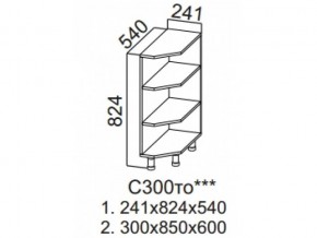 С300то Стол-рабочий 300 (торцевой открытый) в Юрюзани - yuryuzan.магазин96.com | фото