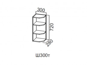 Ш300т/720 Шкаф навесной 300/720 (торцевой) в Юрюзани - yuryuzan.магазин96.com | фото