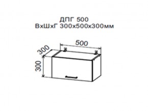Шкаф верхний ДПГ500 горизонтальный в Юрюзани - yuryuzan.магазин96.com | фото