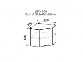 Шкаф верхний ДПУ600 угловой в Юрюзани - yuryuzan.магазин96.com | фото